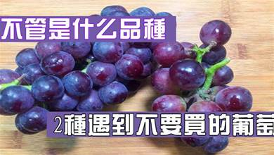 買葡萄時，不管是什麼品種，碰到這2種不要買，為了健康，要牢記