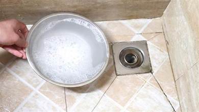 怎麼清都飄怪味？浴室排水孔「倒一碗自製水」 立刻不髒也不臭，早學早受益
