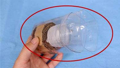 今天才知道，滅蟑螂只用一個塑膠瓶，不花一分錢，蟑螂連窩一起端，實用