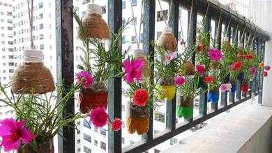 花盆以後不用買了，空掉的塑膠瓶也有大用處，自製彩虹陽臺柵欄