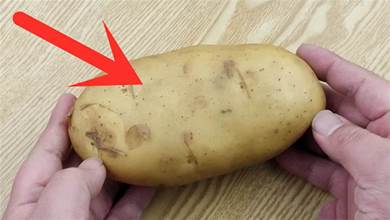 家裡的土豆放久了就長芽了？老農教您土方法，放一年不變綠不發芽