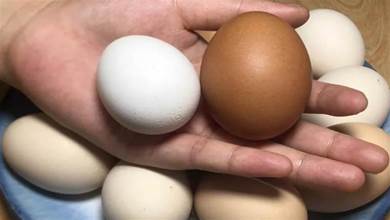 早上吃雞蛋，最忌直接下鍋煮，記住4個誤區，雞蛋Q彈又營養